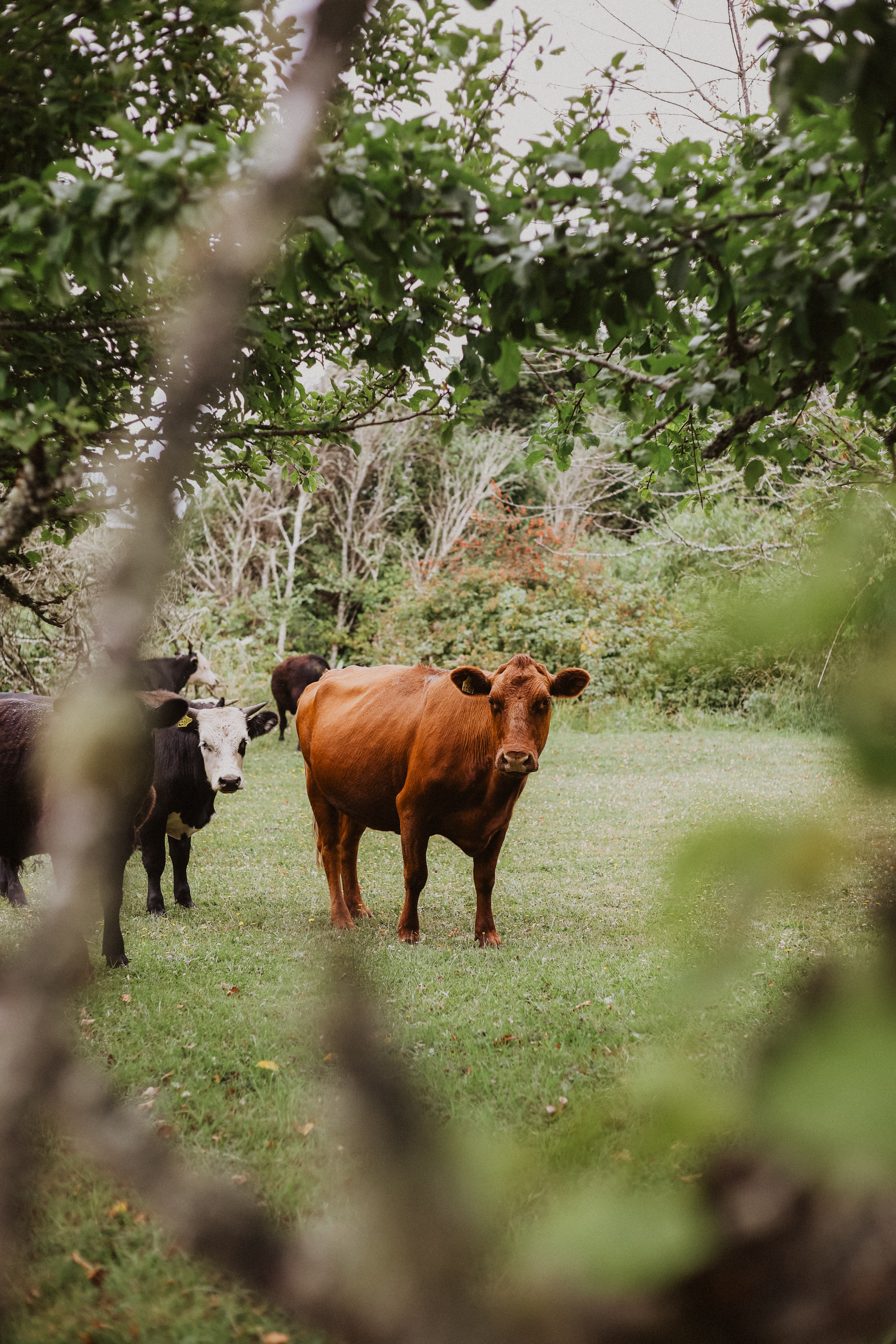 Lodging gallery image 5