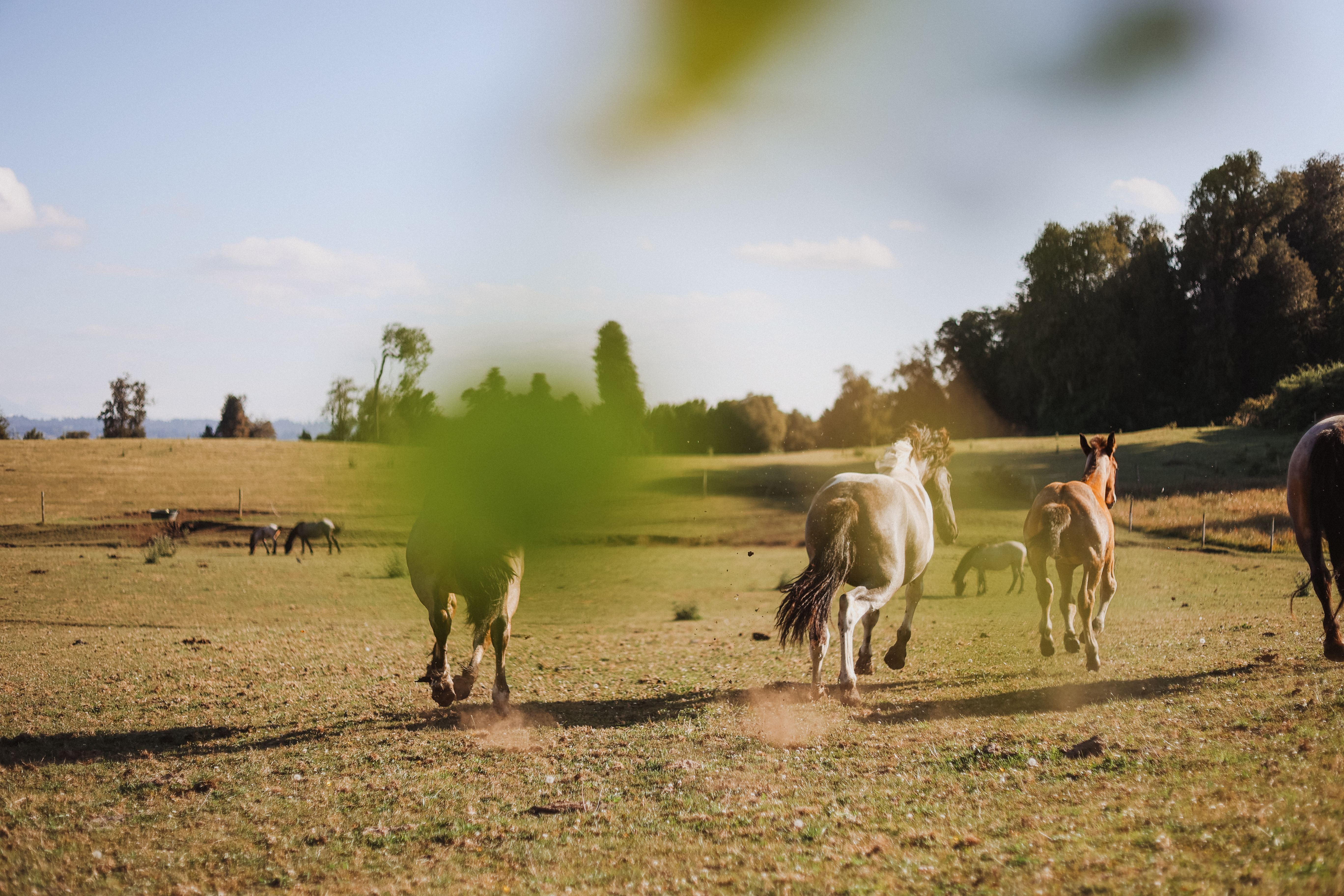 Lodging gallery image 6