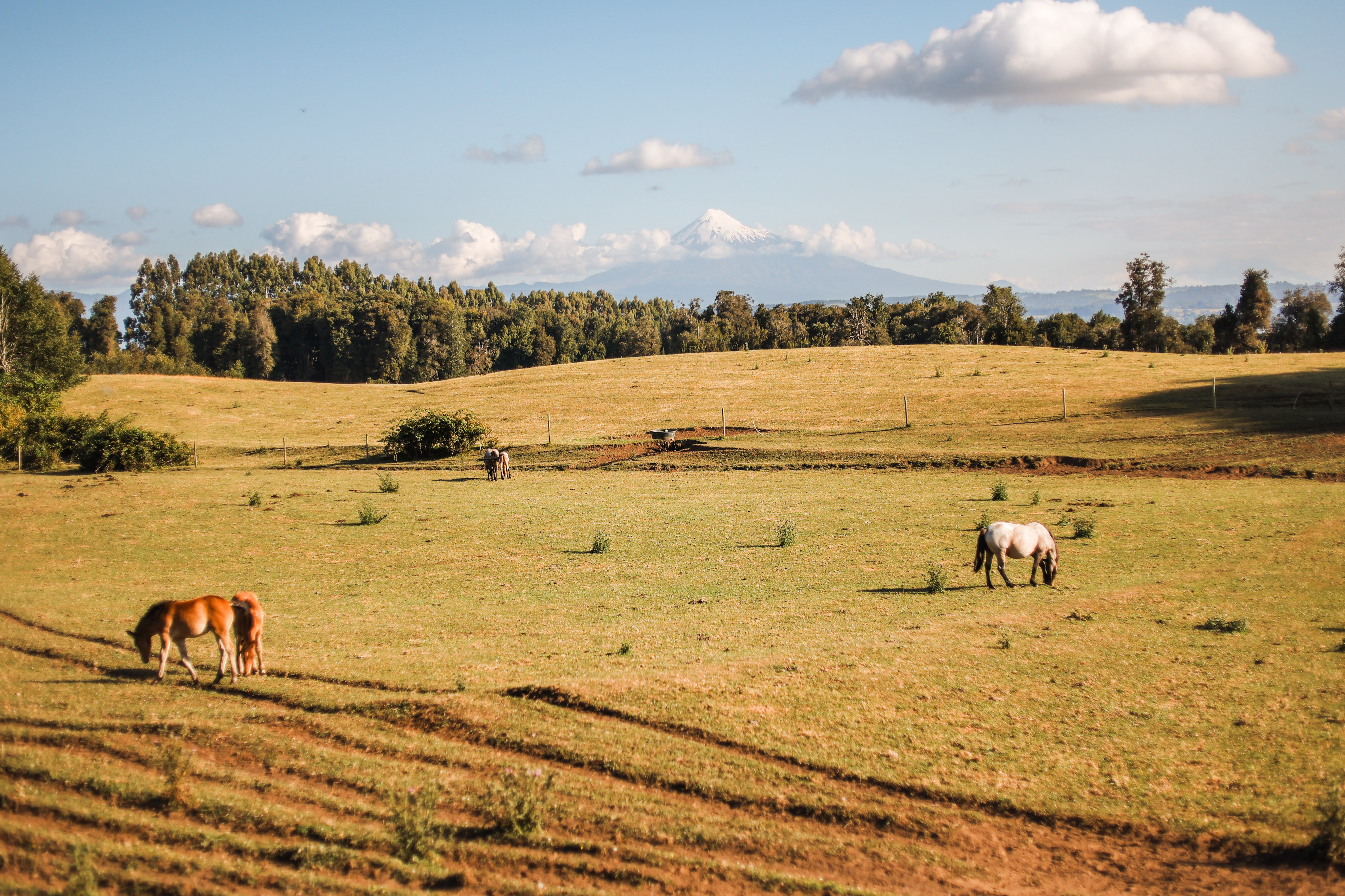 Lodging gallery image 6